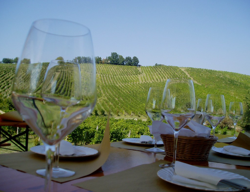 Dégustation vins de Provence